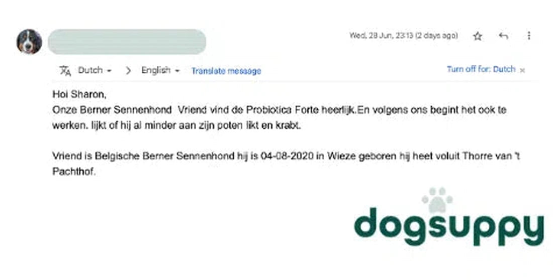 Berner Sennenhond Vriend houdt van de Probiotics Forte