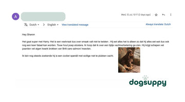 Cocker Spaniel Harry doet het geweldig