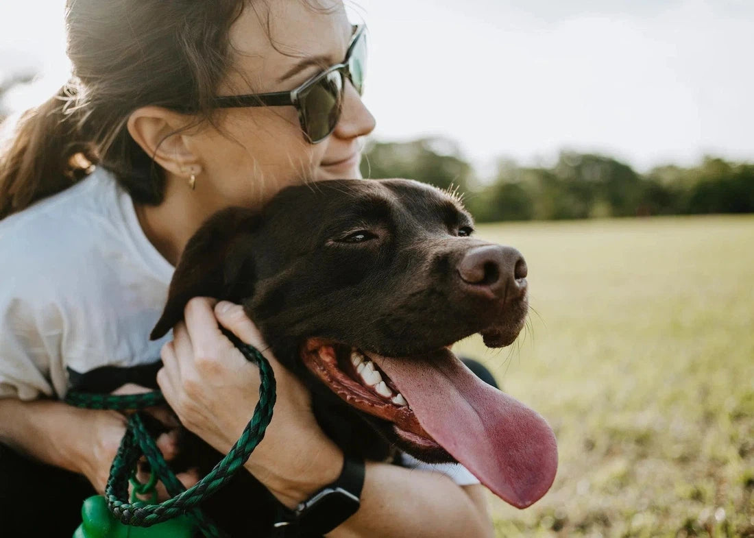 De juiste probiotica kiezen voor jouw hond: gids en tips