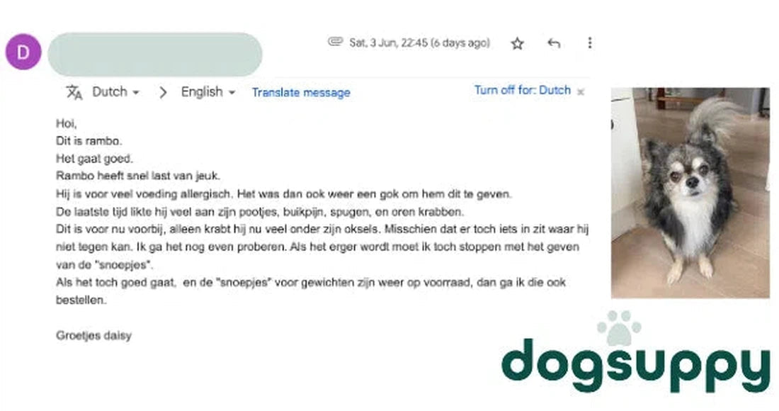 Geen poten meer likken, buikpijn en spugen voor hond Rambo