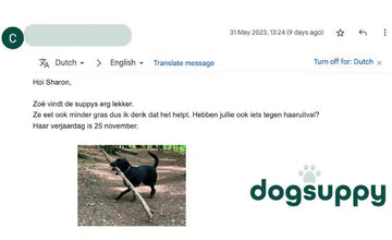 Hond Zoë vindt de supplementen lekker