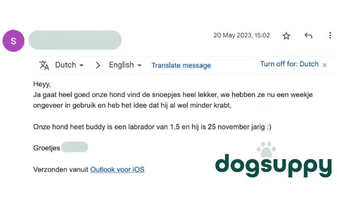 Labrador Buddy heeft minder jeuk