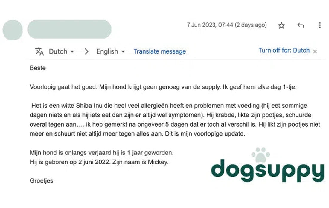 Niet meer likken voor witte Shiba Inu Mickey