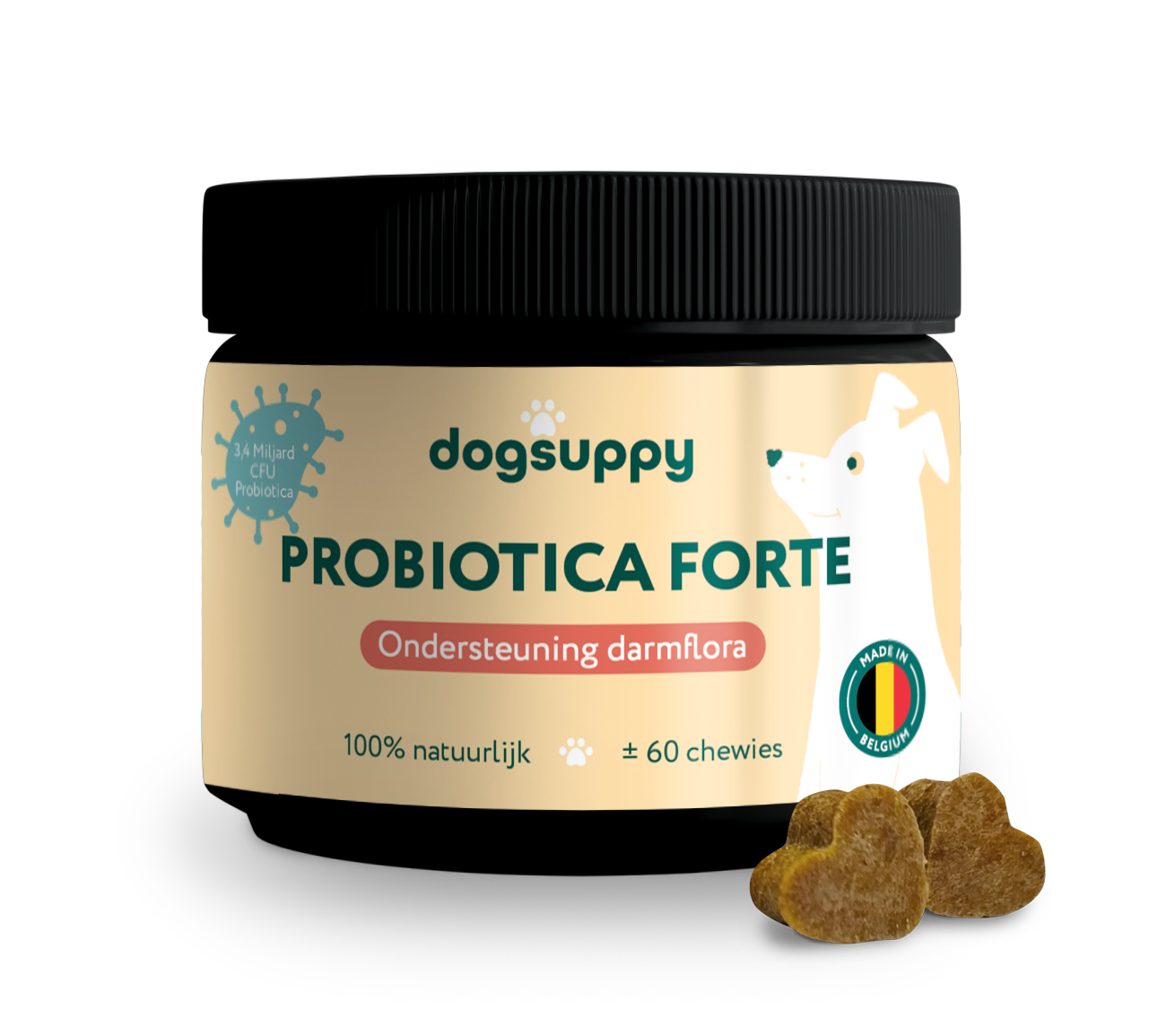 Probiotica Forte | Voor een optimale darmgezondheid | 60 snoepjes