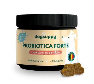 Probiotica Forte | Voor een optimale darmgezondheid | 60 snoepjes