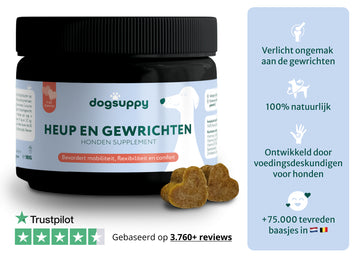 Heup & Gewrichten supplement | 100% natuurlijk | 60 snoepjes