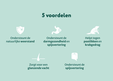 Probiotica Forte | Voor een optimale darmgezondheid | 60 snoepjes