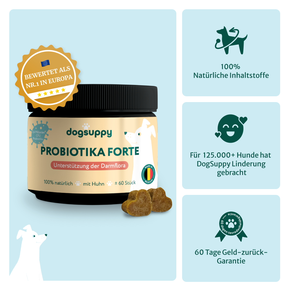 Probiotika Forte | Für eine optimale Gesundheit des Darms | 60 Stücks