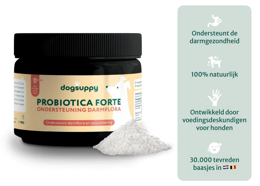 Probiotica Forte poeder | Bevat GEEN zetmeel en eiwitten | Hypoallergeen | 180 gram abonnement