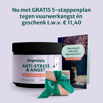 Anti-Stress & Angst | Bevordert rust en stressverlagend | 60 snoepjes