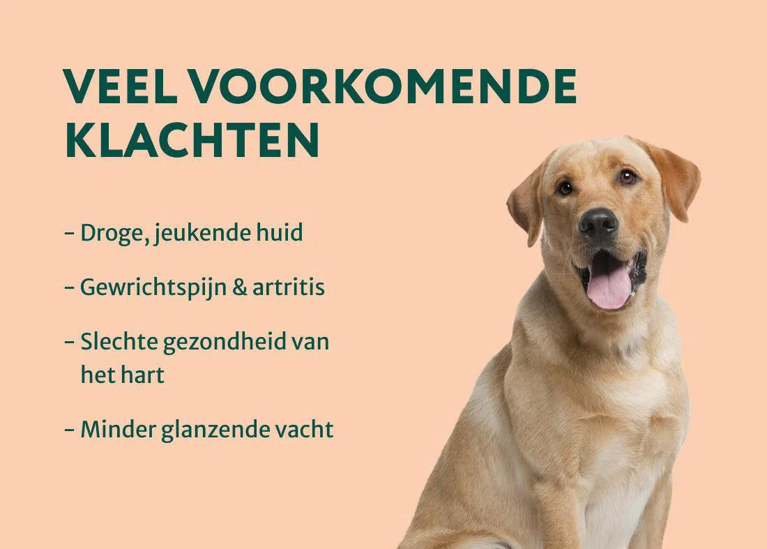 Zalmolie - Puur | Een boost voor de gezondheid van je hond | 250 ml