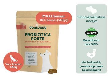 Grote rassen: Probiotica Forte | Ondersteunt darmflora en spijsvertering | 180 snoepjes maxi-pack