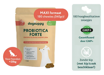 Große Rassen: Probiotics Forte ohne Huhn/Lamm/Fleisch | Unterstützt die Darmflora und die Verdauung | 180 Bonbons (Maxi-Packung)